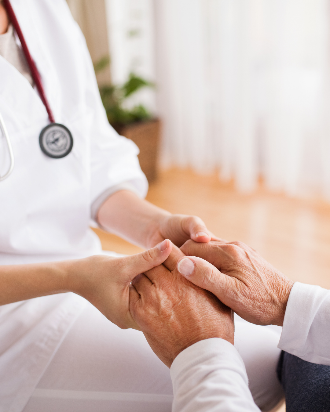 en las mejores manos